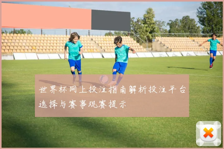 世界杯网上投注指南解析投注平台选择与赛事观赛提示