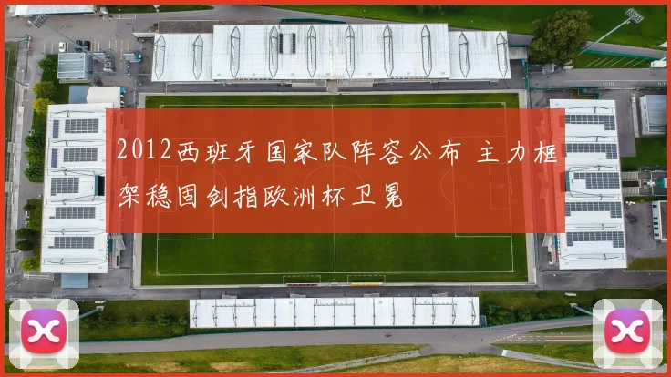 2012西班牙国家队阵容公布 主力框架稳固剑指欧洲杯卫冕