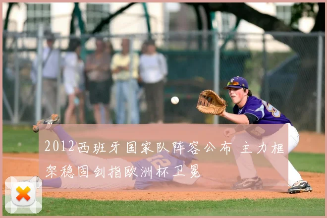 2012西班牙国家队阵容公布 主力框架稳固剑指欧洲杯卫冕