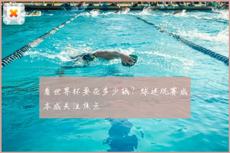 看世界杯要花多少钱？球迷观赛成本成关注焦点