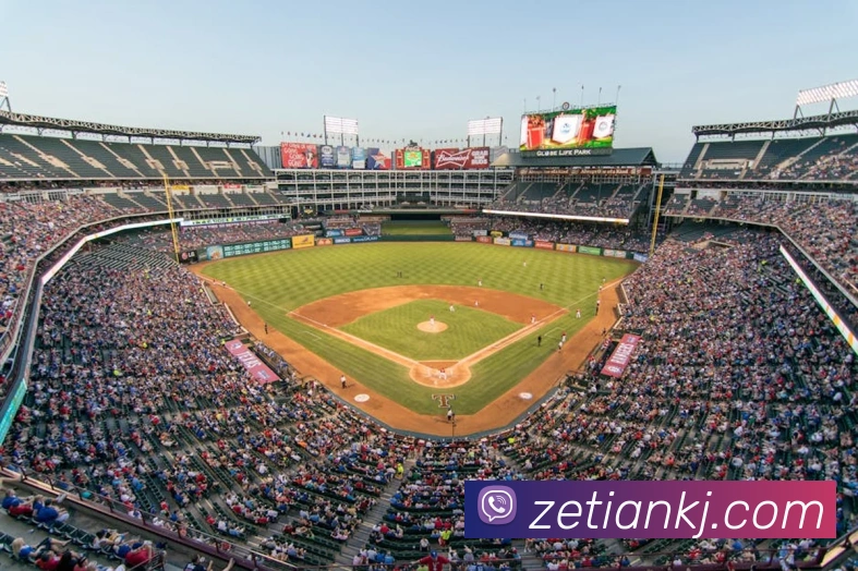 顶盛官网登录平台生态图